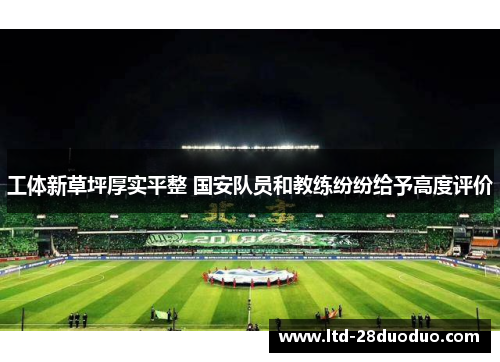工体新草坪厚实平整 国安队员和教练纷纷给予高度评价