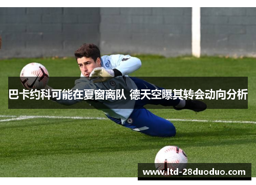 巴卡约科可能在夏窗离队 德天空曝其转会动向分析