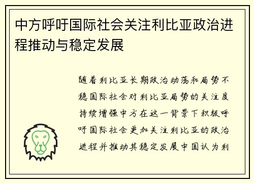 中方呼吁国际社会关注利比亚政治进程推动与稳定发展