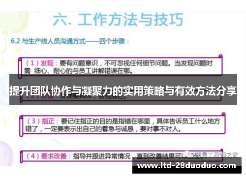 提升团队协作与凝聚力的实用策略与有效方法分享