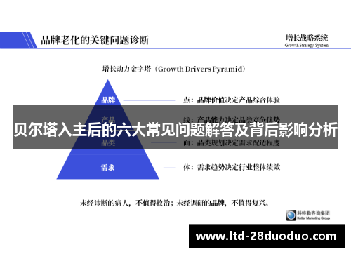 贝尔塔入主后的六大常见问题解答及背后影响分析