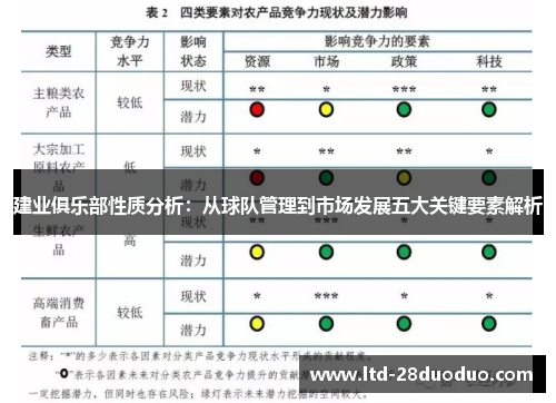 建业俱乐部性质分析:从球队管理到市场发展五大关键要素解析 建业俱乐部性质分析:从球队管理到市场发展五大关键要素解析