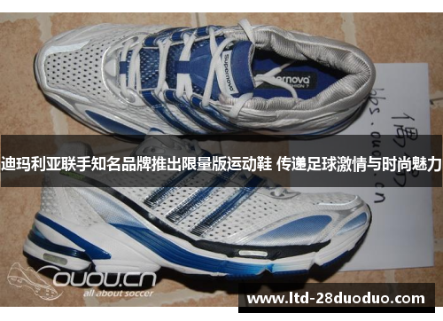 迪玛利亚联手知名品牌推出限量版运动鞋 传递足球激情与时尚魅力 迪玛利亚联手知名品牌推出限量版运动鞋 传递足球激情与时尚魅力